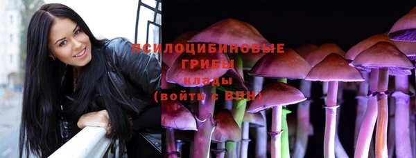 крисы Елизово