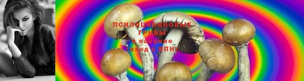 крисы Елизово
