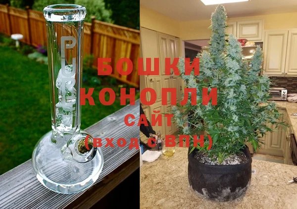 крисы Елизово