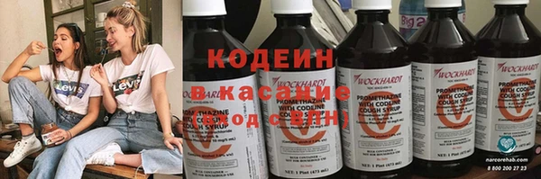 крисы Елизово