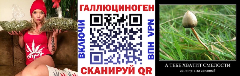 Галлюциногенные грибы Cubensis  blacksprut tor  Ува 